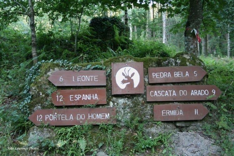 Casa Vilar جيريز المظهر الخارجي الصورة